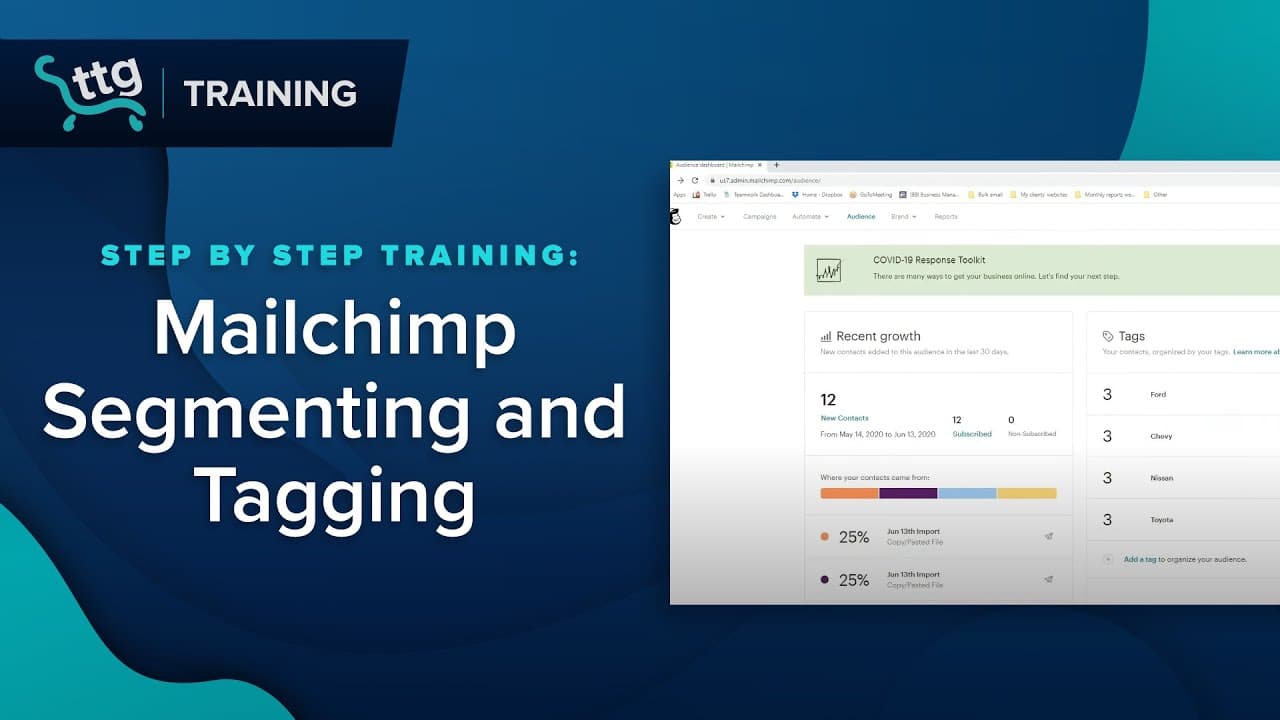 Mailchimp Segmenting & Tagging Tutorial 2020 | Smart Contact Management