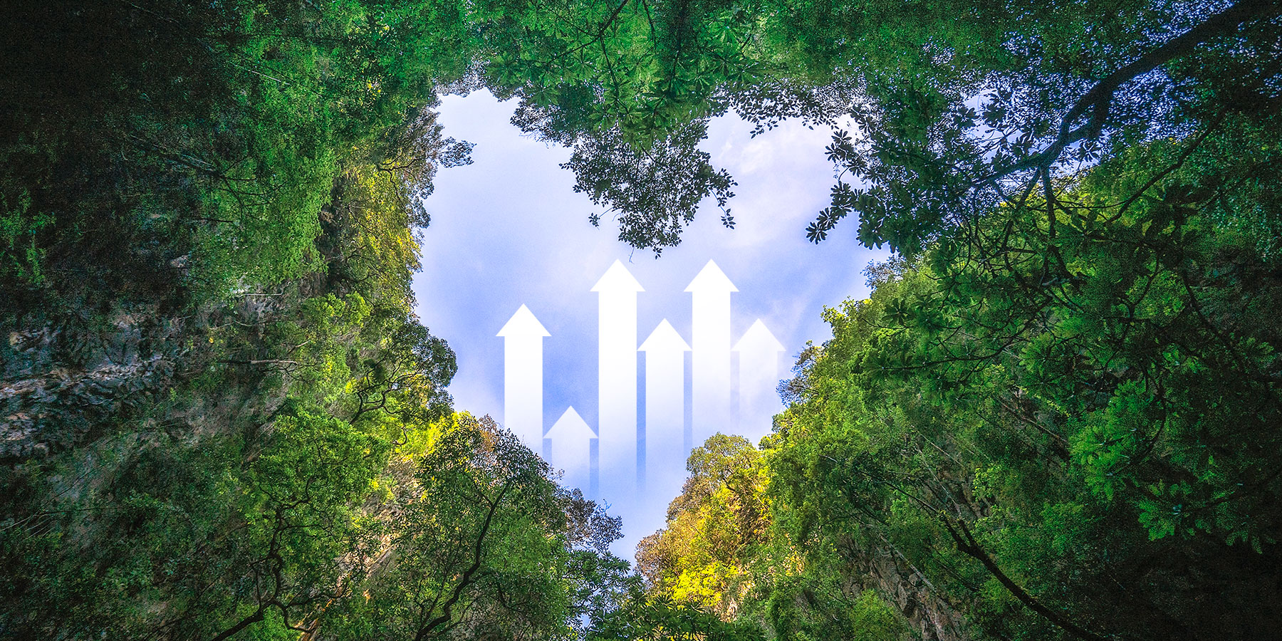 Sustainability Tips for Small Businesses