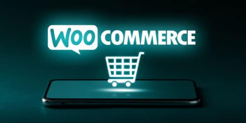 The Wonderful World of WooCommerce