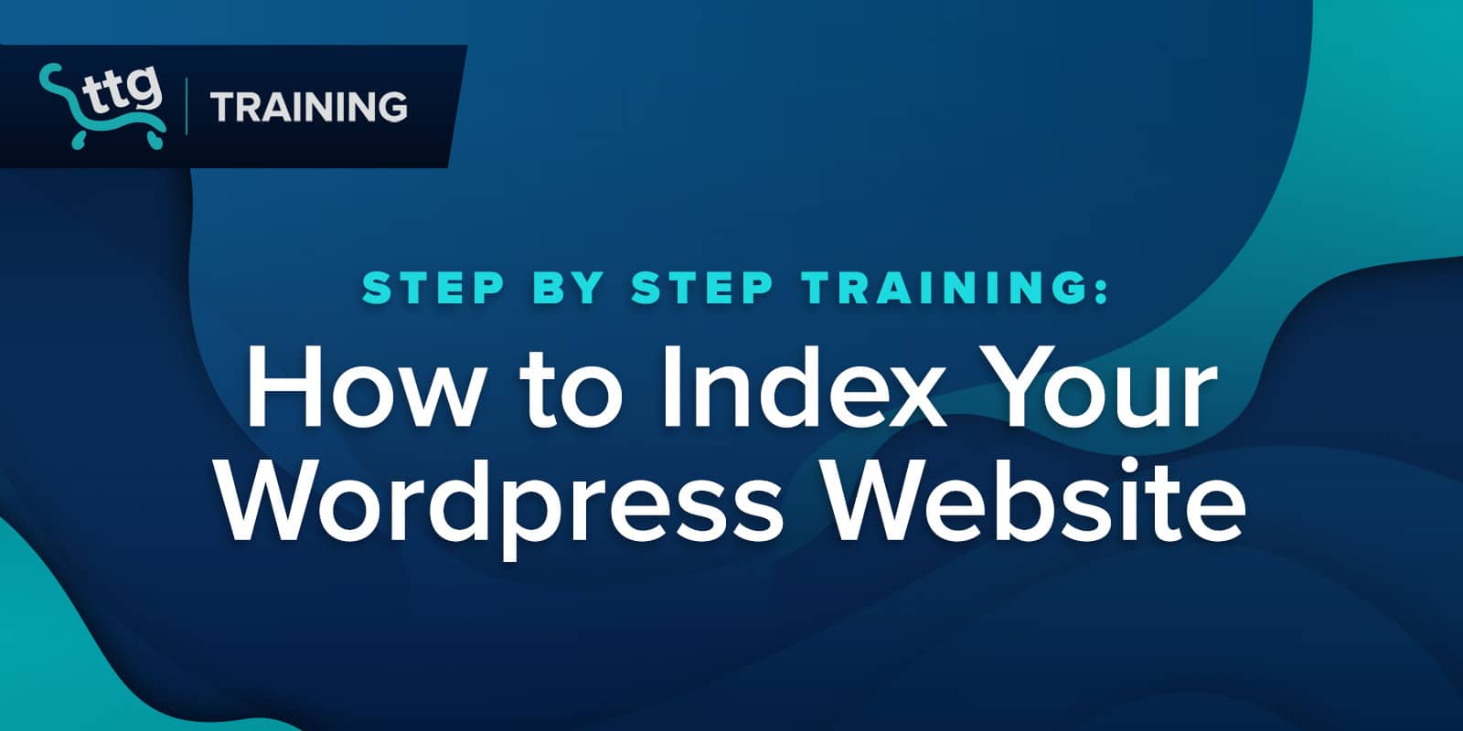 Why Isn’t My Website Showing Up on Google?