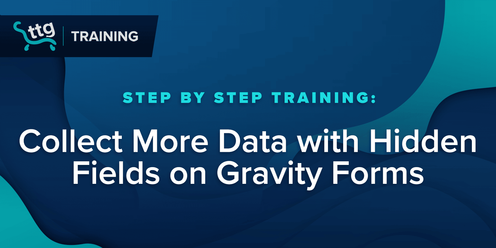 Collect More Data with Hidden Fields on Gravity Forms