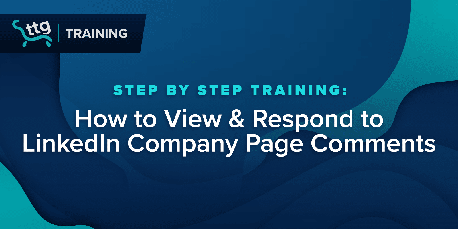 How to View & Respond to LinkedIn Company Page Comments