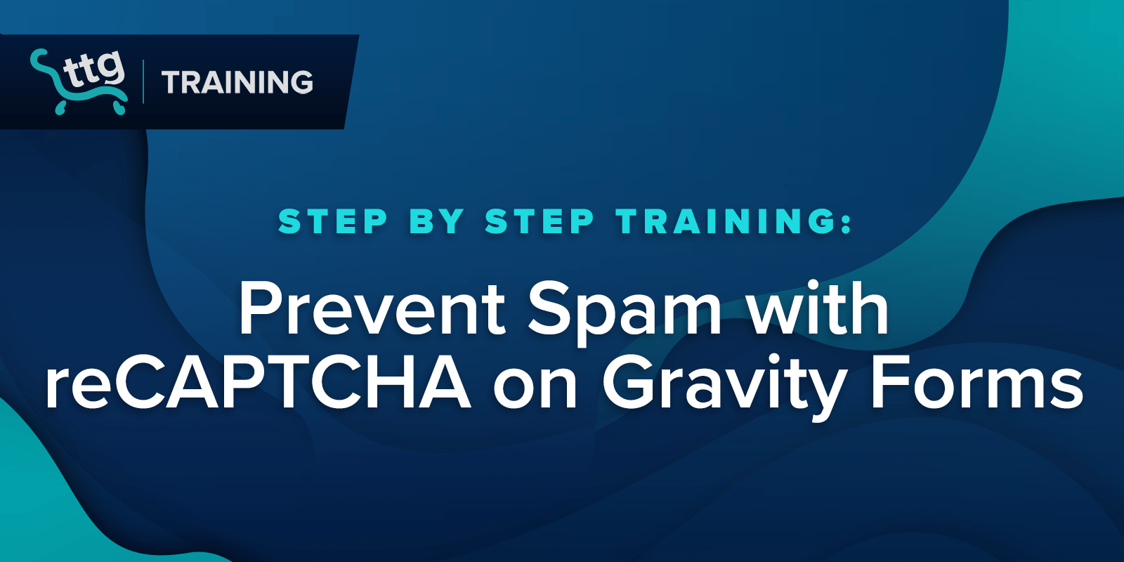 Prevent Spam with reCAPTCHA on Gravity Forms
