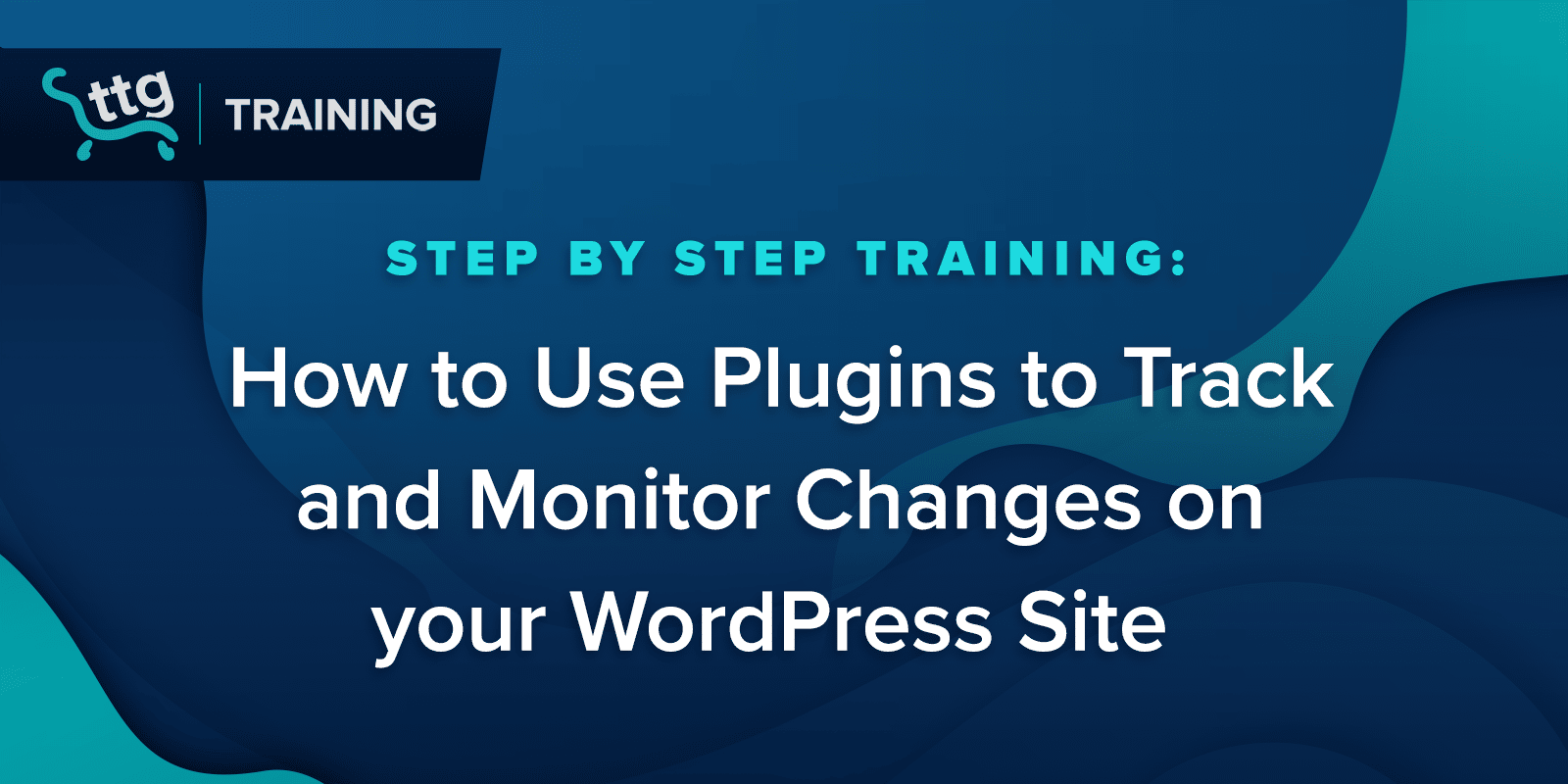 How to Use Plugins to Track and Monitor Changes on your WordPress Site